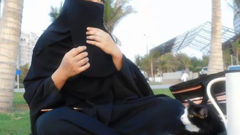 娱乐吃瓜君最新直播在哪看,锁定这个平台,精彩不容错过!